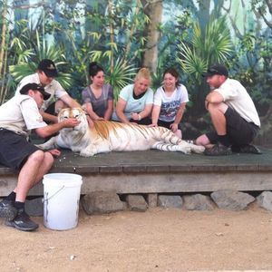 Meet your Posher, Mary